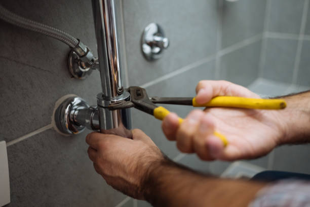 Best Residential Plumbing Services  in Dillsboro, IN